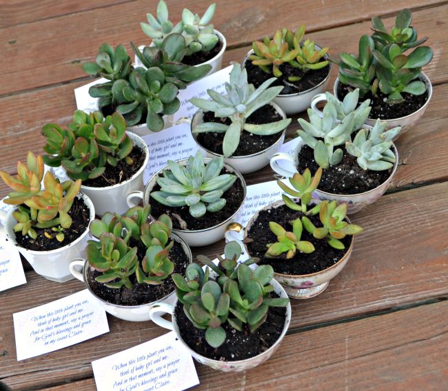 55 Easy Unique Baby Shower Favor Ideas To Fit Any Budget Tulamama Baby Shower Favors
