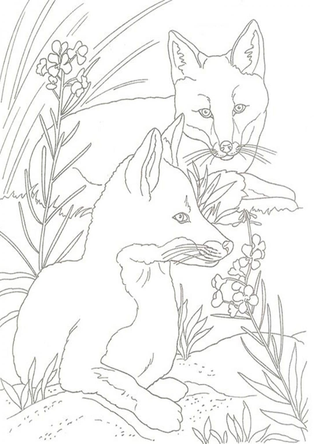 Fox Nursery Fun Themed Sketch Coloring Page