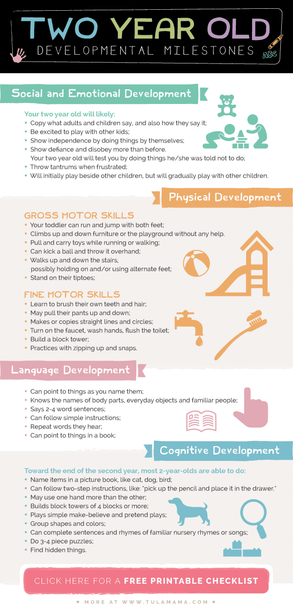Two Year Old Development Chart