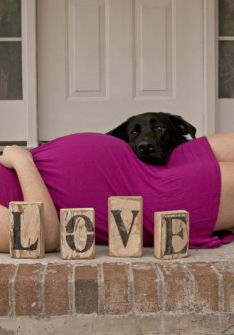 Maternity Photos. Lots of ideas with husband and single mom. Different themes include outdoor, fall, winter, summer, with toddler, and much more.