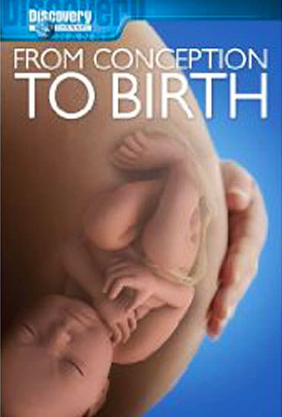 Discovery- from conception to birth pregnancy movies