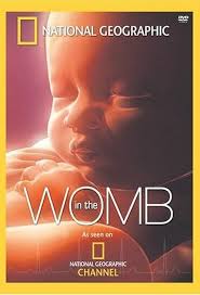 In the womb pregnancy movies