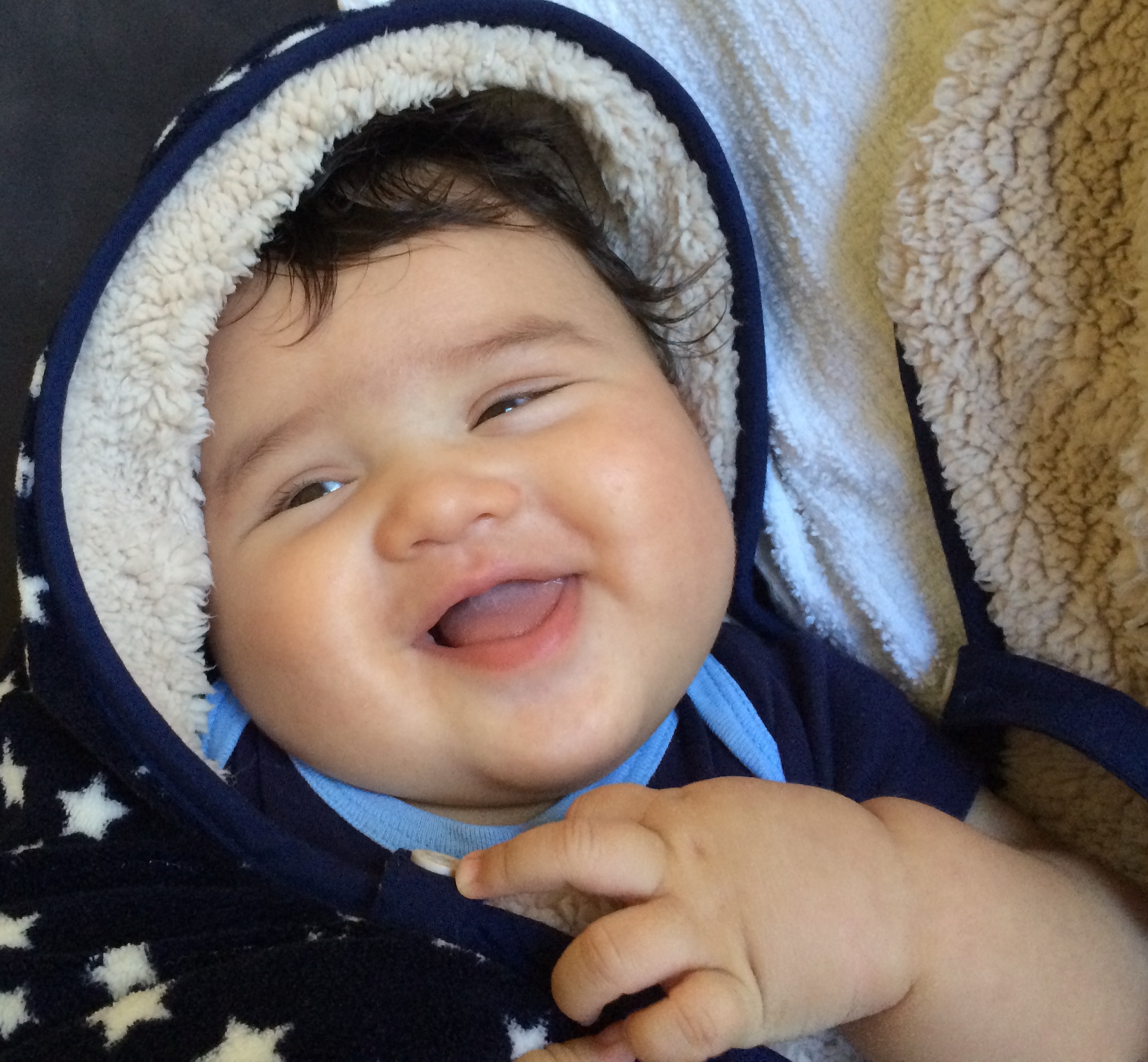 winter baby carrier cover