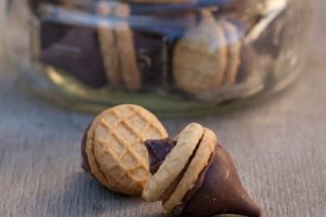 nutter butter acorns