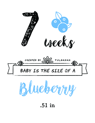 Free Printable Maternity Photo Props. These maternity props are neutral and can be used for a girl, a boy, or twins. They are easy, DIY ideas for awesome pregnancy photos. Use them for indoor, outdoor, fall, winter - any season and occasion. Pin it. #maternityphotoideas #photoprops #pregnant