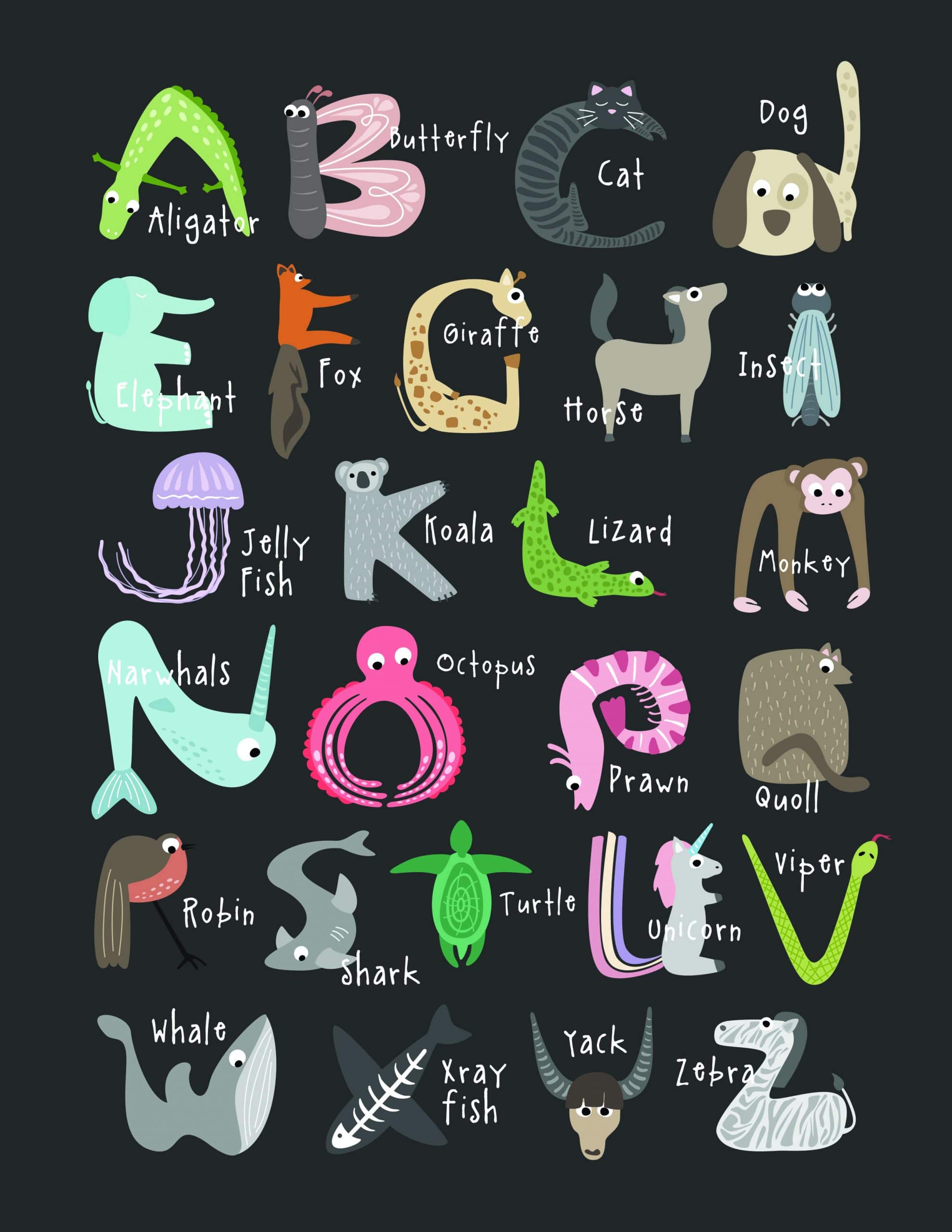 D is for Dolphin