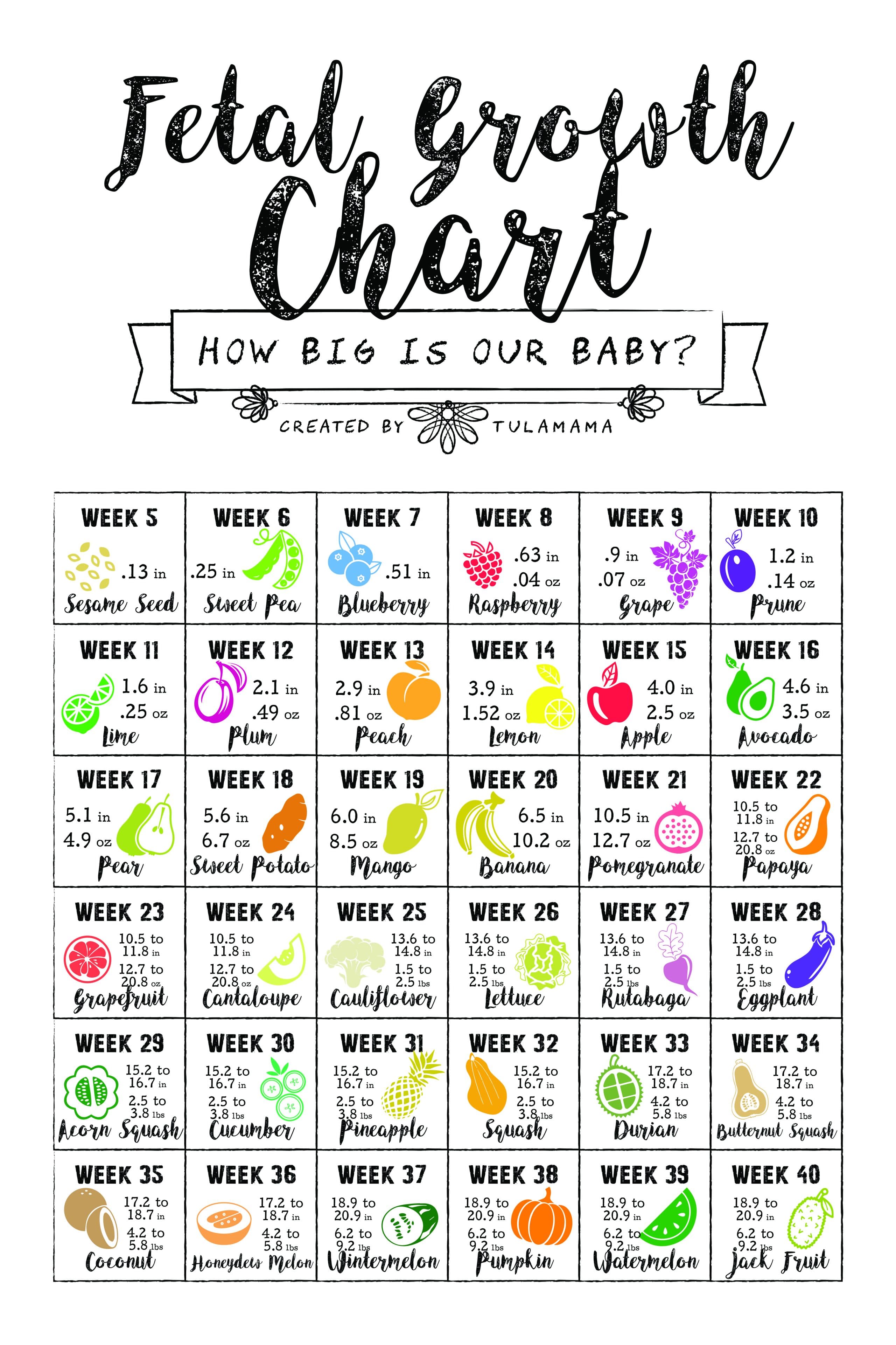 Baby Fruit Chart