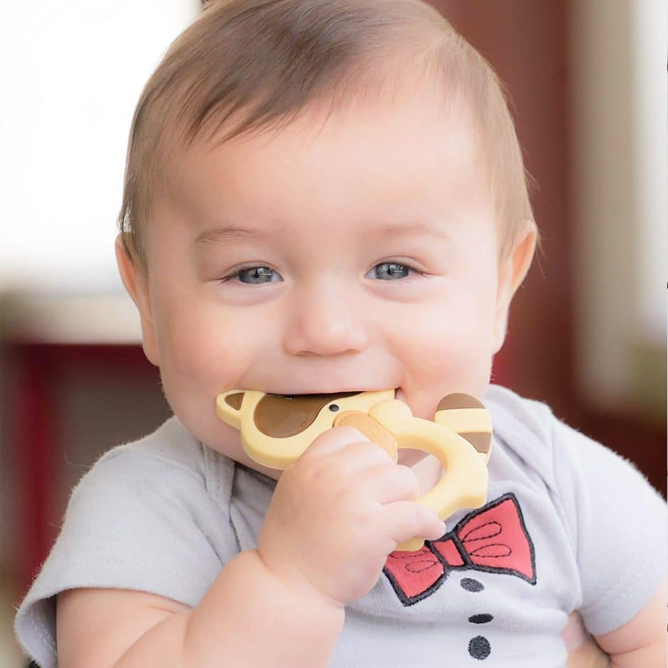 baby biting toys