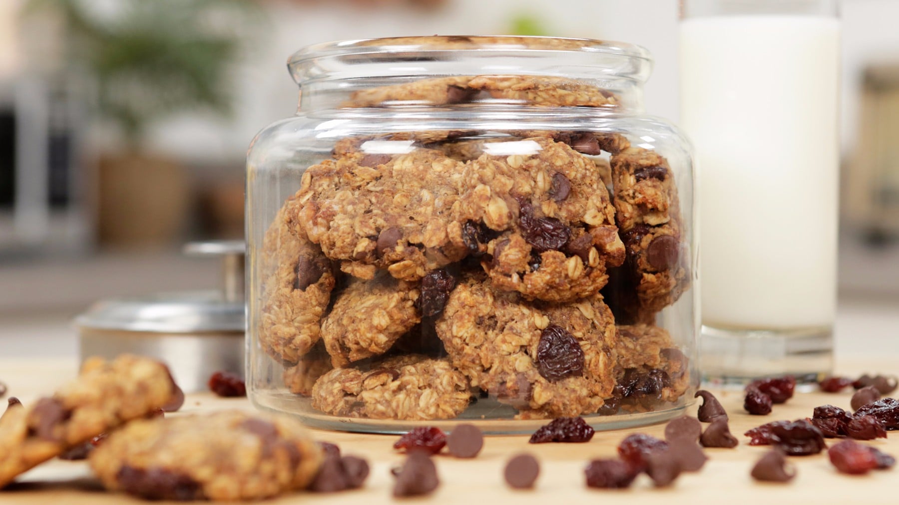 easy-tasty-lactation-cookies-you-can-make-yourself-tulamama