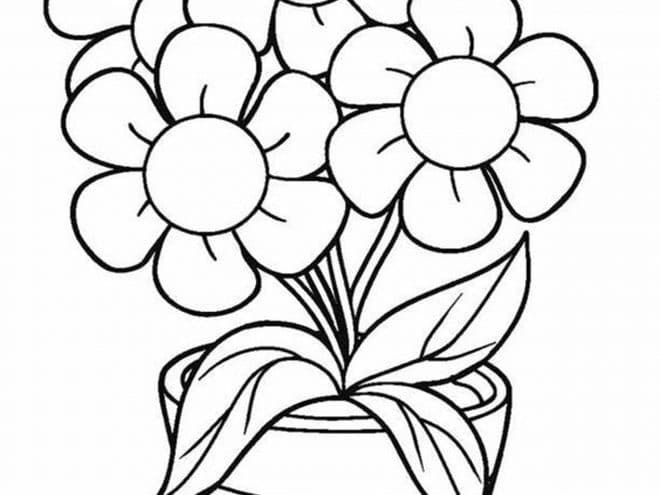 Get Free Flower Coloring Page Gif