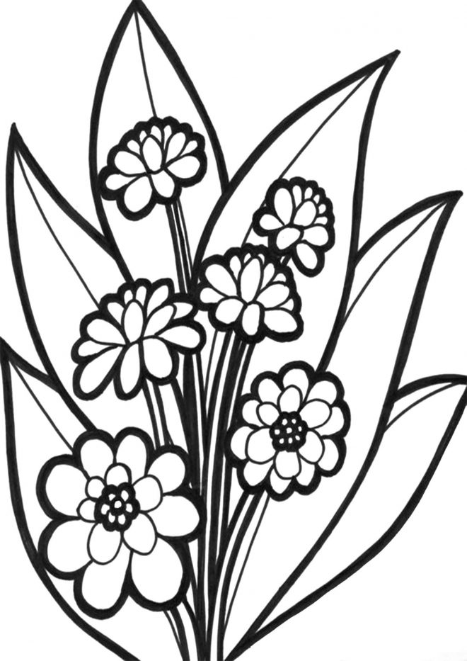 Free & Easy To Print Flower Coloring Pages - Tulamama