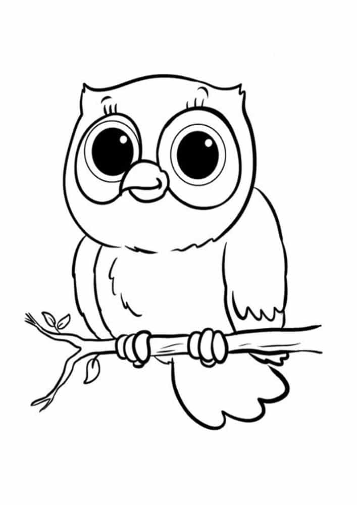 Free & Easy To Print Owl Coloring Pages - Tulamama