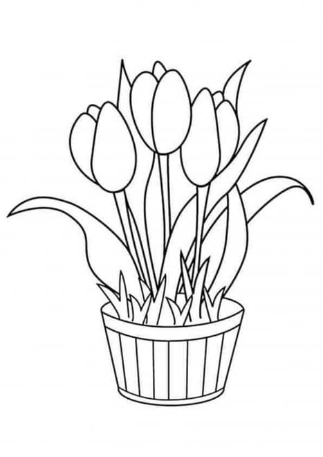 Free & Easy To Print Flower Coloring Pages - Tulamama