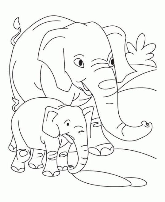 Free & Easy To Print Elephant Coloring Pages - Tulamama