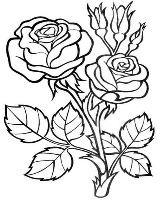 Free & Easy To Print Flower Coloring Pages - Tulamama