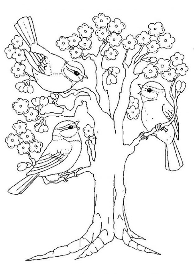 Free & Easy To Print Bird Coloring Pages - Tulamama