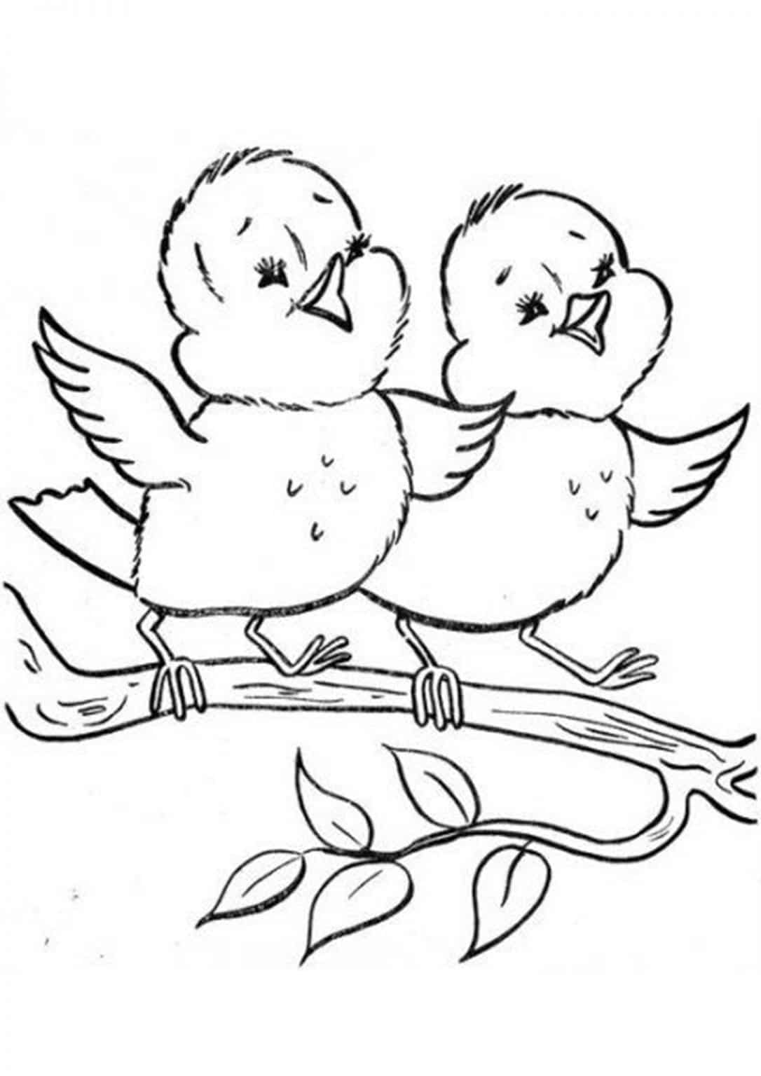 Free & Easy To Print Bird Coloring Pages - Tulamama