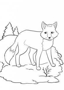 Free & Easy To Print Fox Coloring Pages - Tulamama