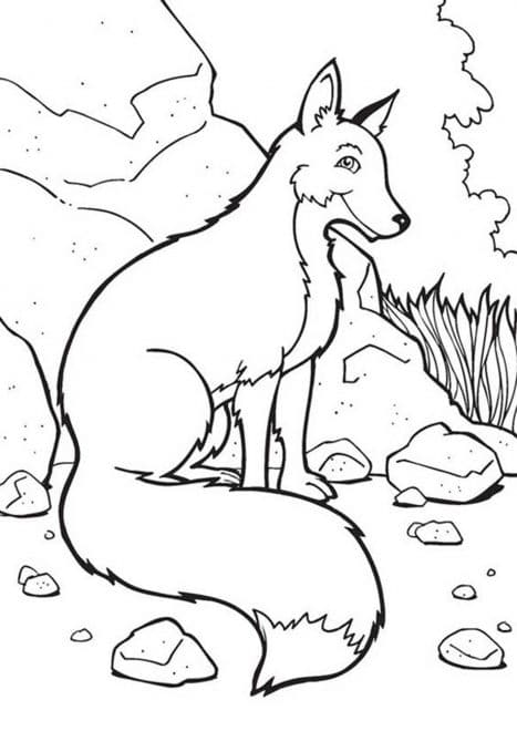 Free & Easy To Print Fox Coloring Pages - Tulamama