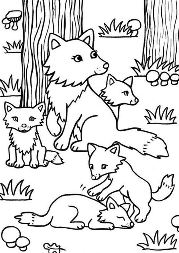 Free & Easy To Print Fox Coloring Pages - Tulamama