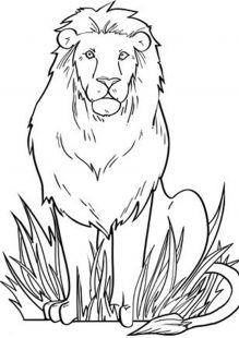 Free & Easy To Print Lion Coloring Pages - Tulamama