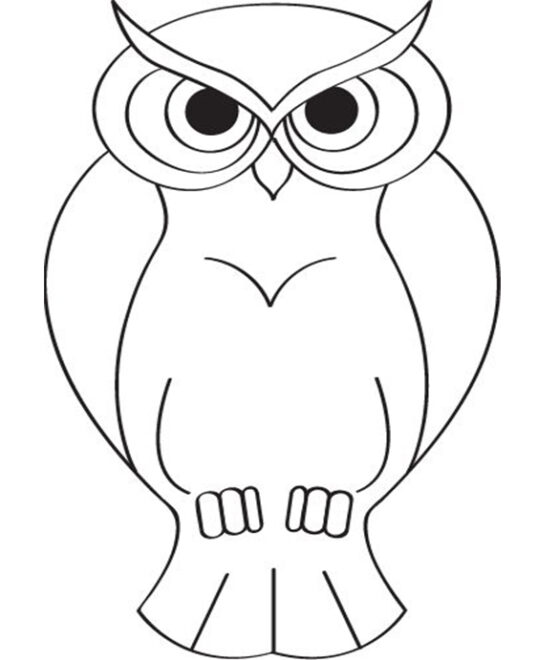 Free & Easy To Print Owl Coloring Pages - Tulamama