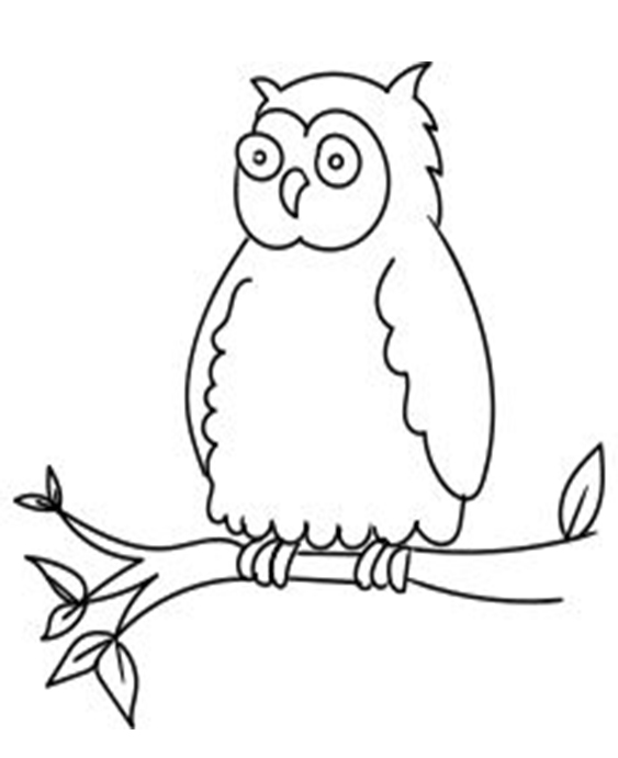 Fun Owl coloring pages for your little one. They're free and easy to print. The collection is varied for different skill levels and..