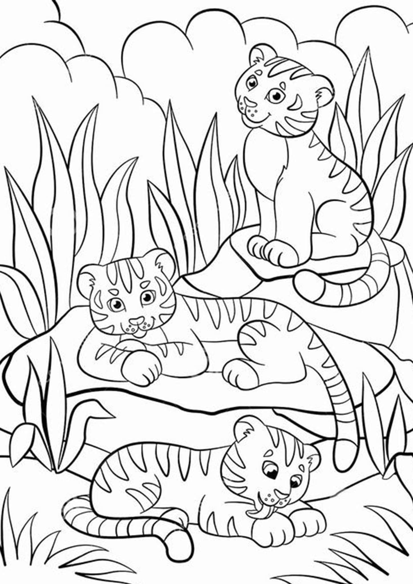 Семья тигров раскраска
