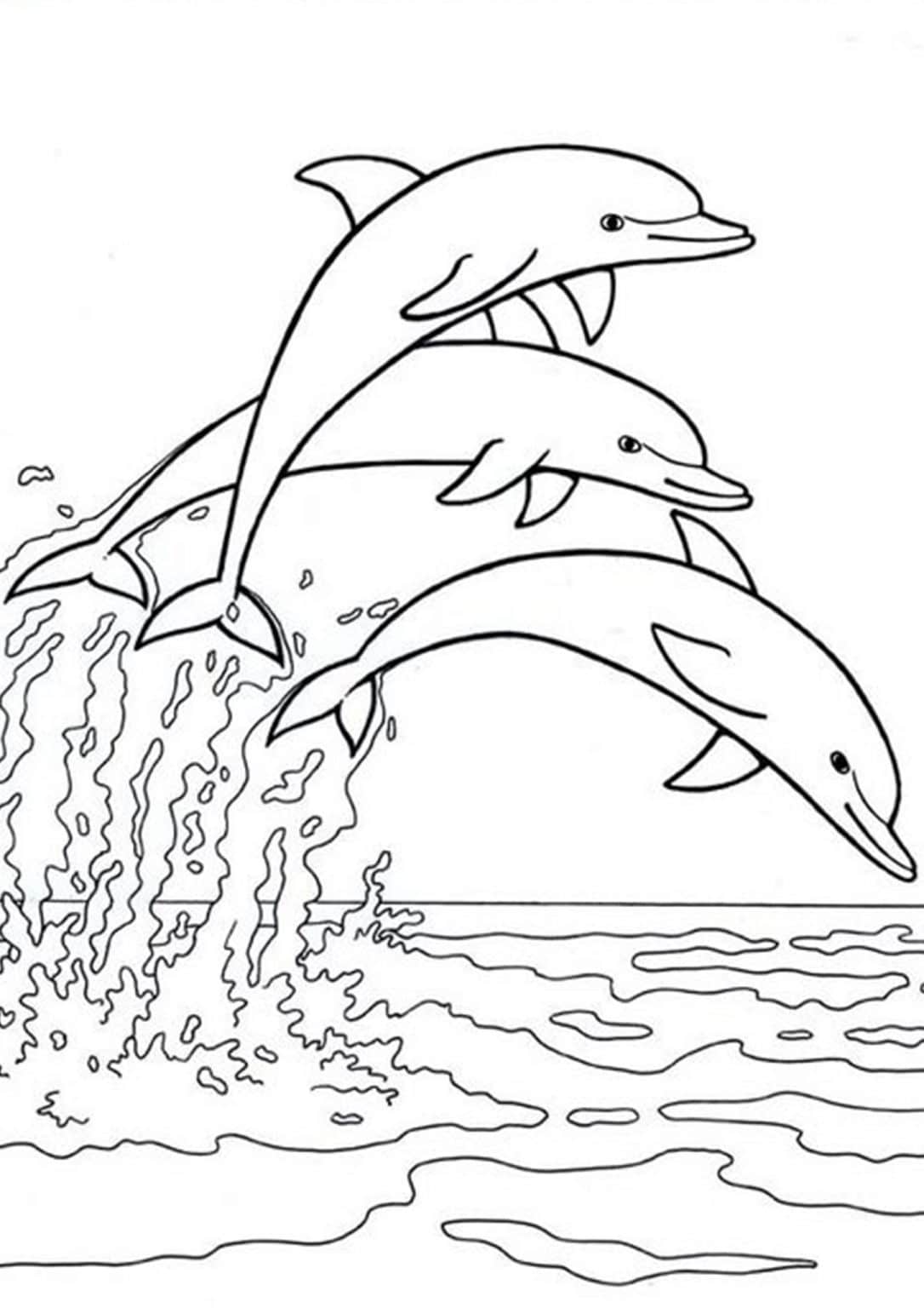 Free & Easy To Print Dolphin Coloring Pages Tulamama