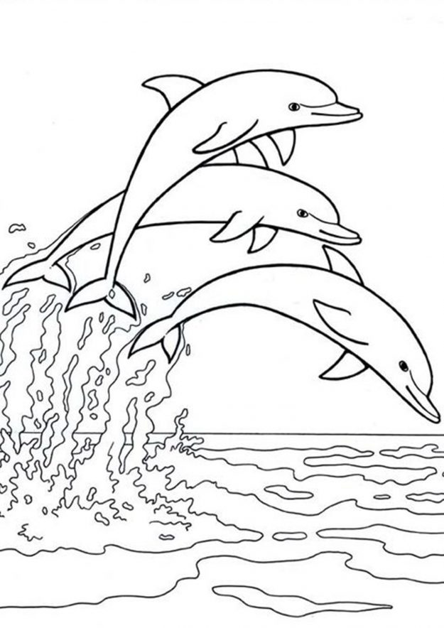 Free & Easy To Print Dolphin Coloring Pages - Tulamama