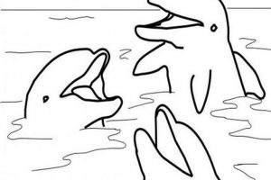 dolphin coloring pages