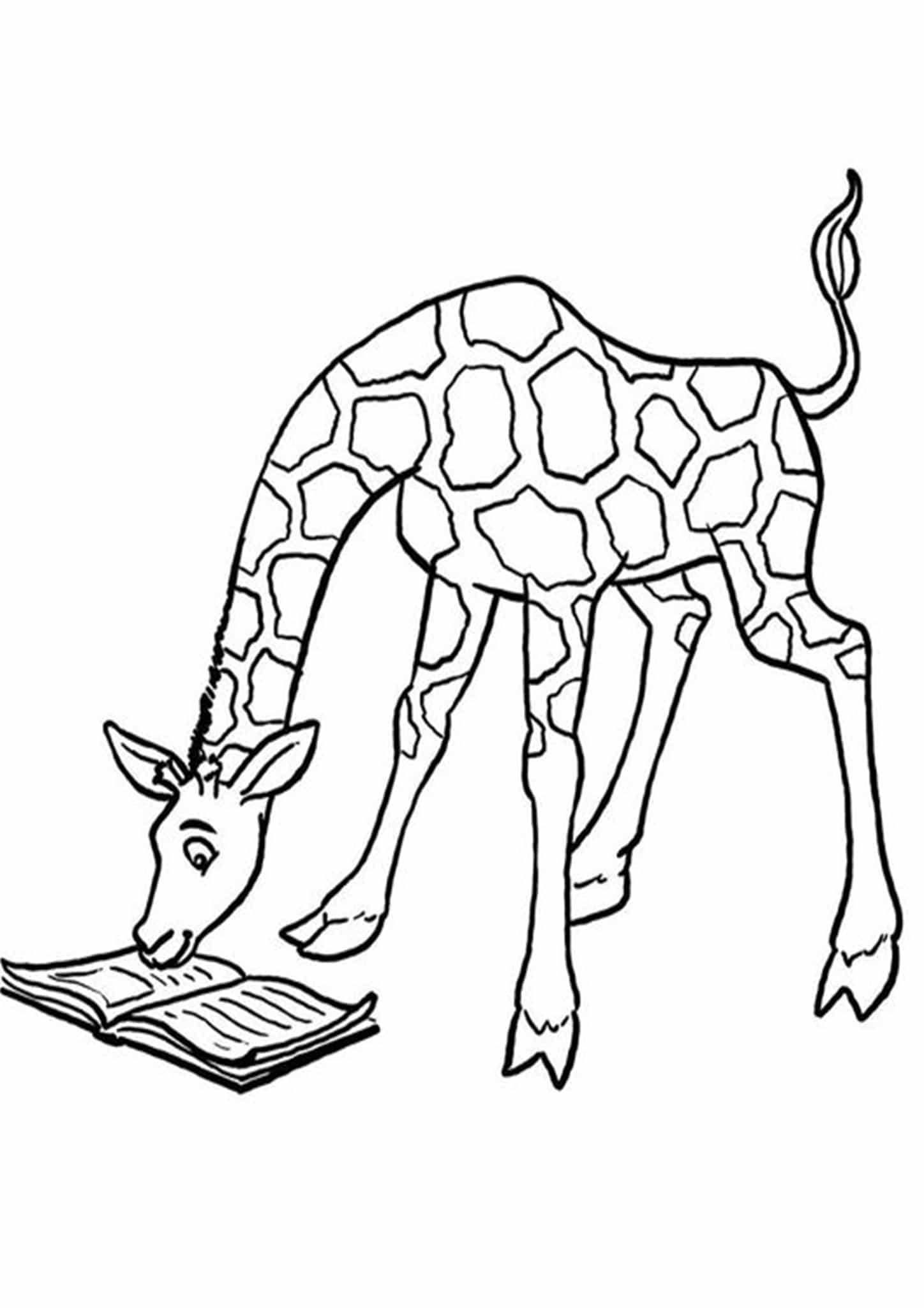 Free & Easy To Print Giraffe Coloring Pages Tulamama