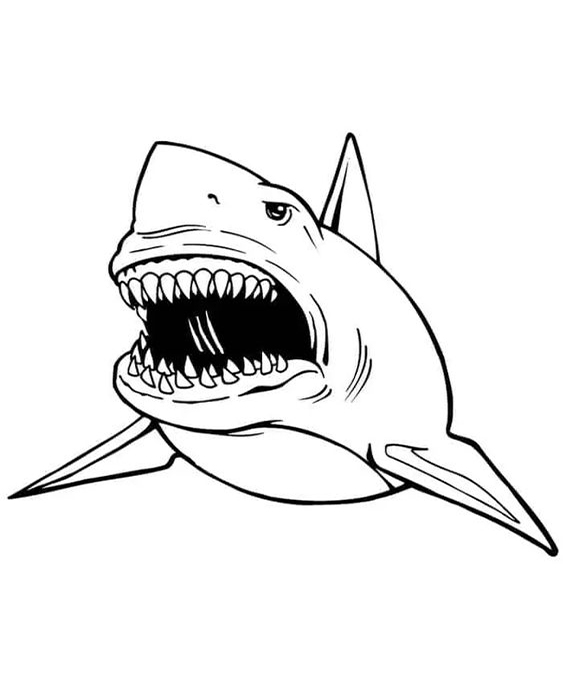 Numbers Coloring pages - Free to print - Busy Shark