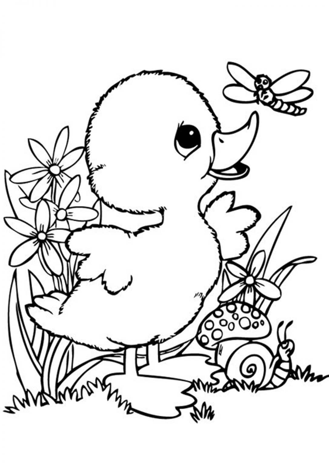 Free & Easy To Print Duck Coloring Pages - Tulamama
