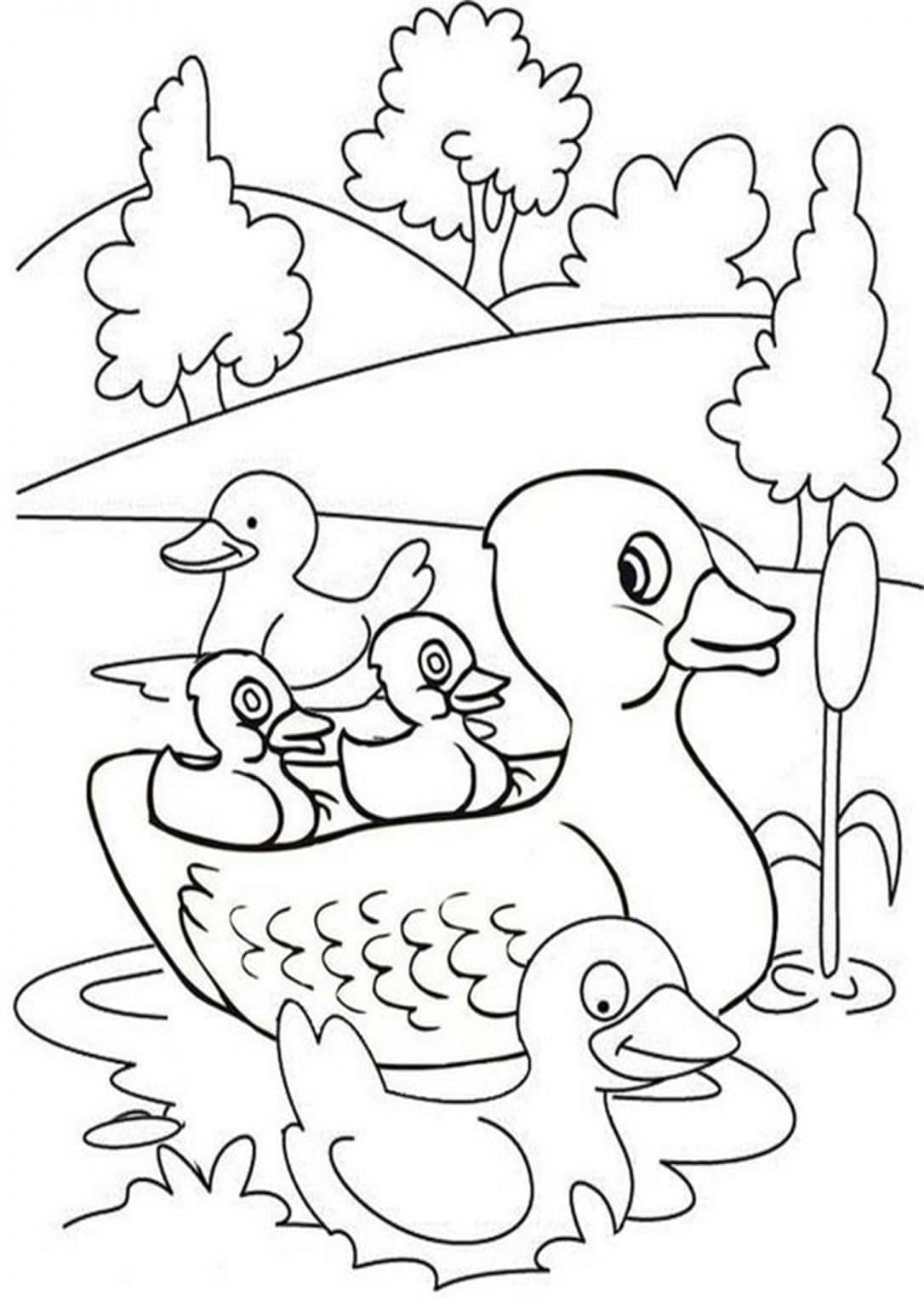 Free & Easy To Print Duck Coloring Pages - Tulamama