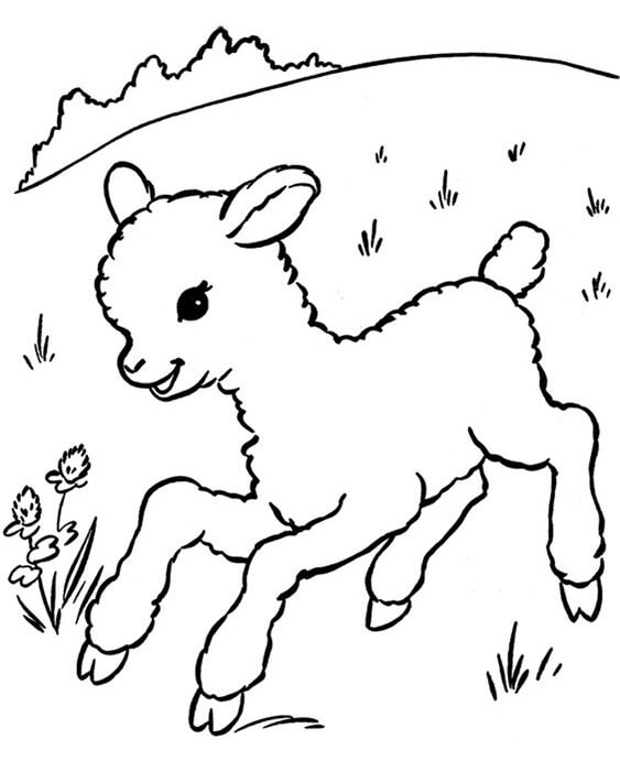 free printable coloring pages baby farm animals
