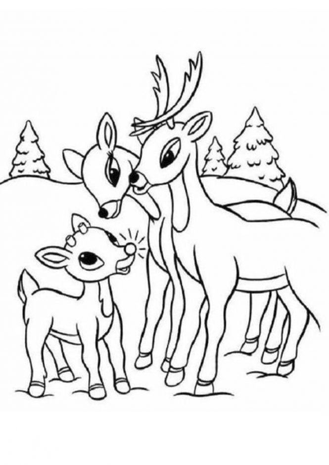 Download Free & Easy To Print Baby Animal Coloring Pages - Tulamama