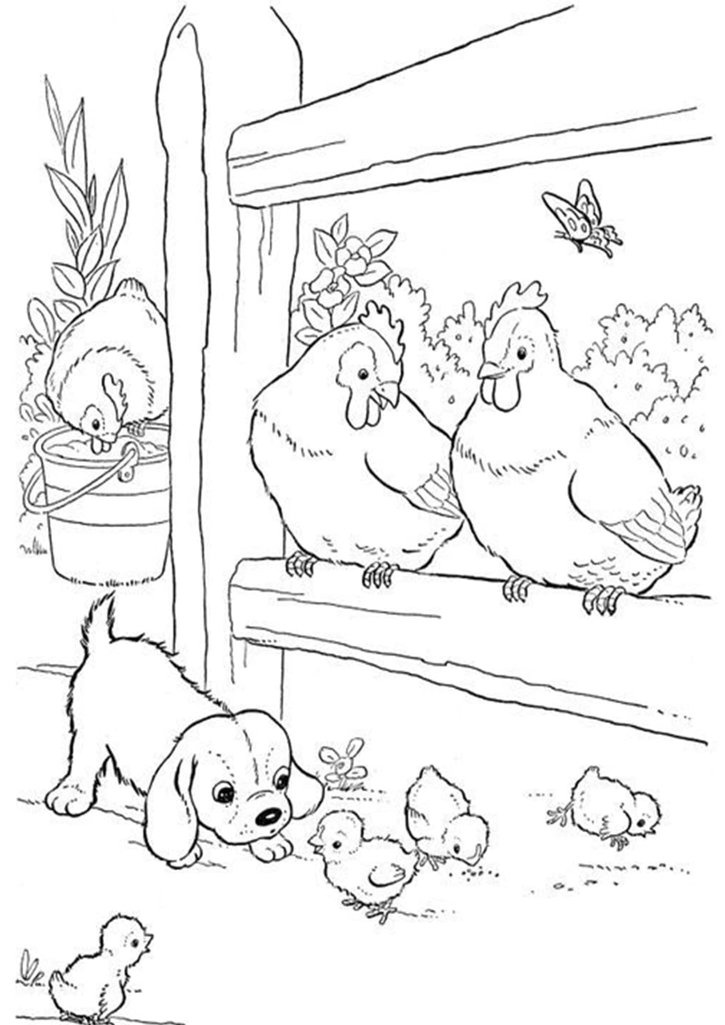 Free Easy To Print Chicken Coloring Pages Tulamama