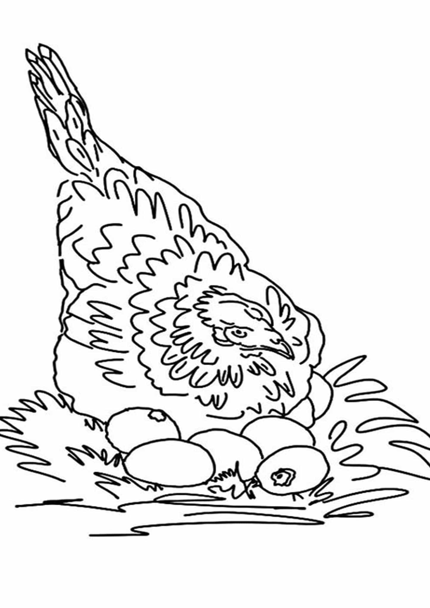 Free &Amp; Easy To Print Chicken Coloring Pages - Tulamama