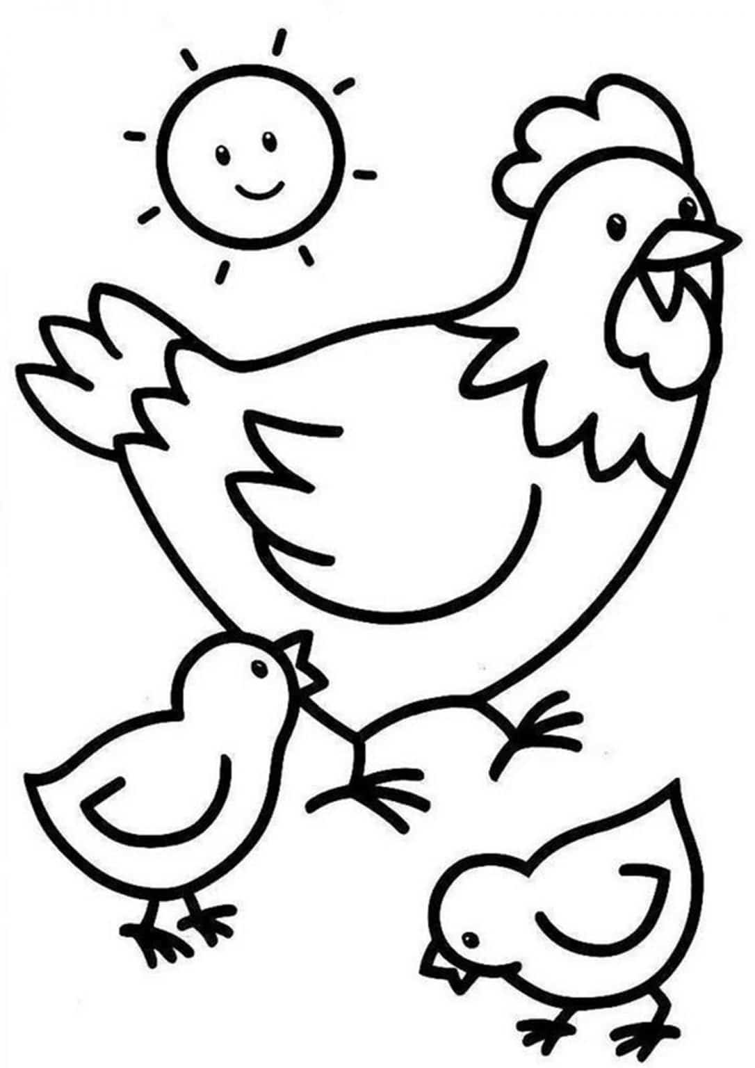 Chicken Pages A Bucket Coloring Pages