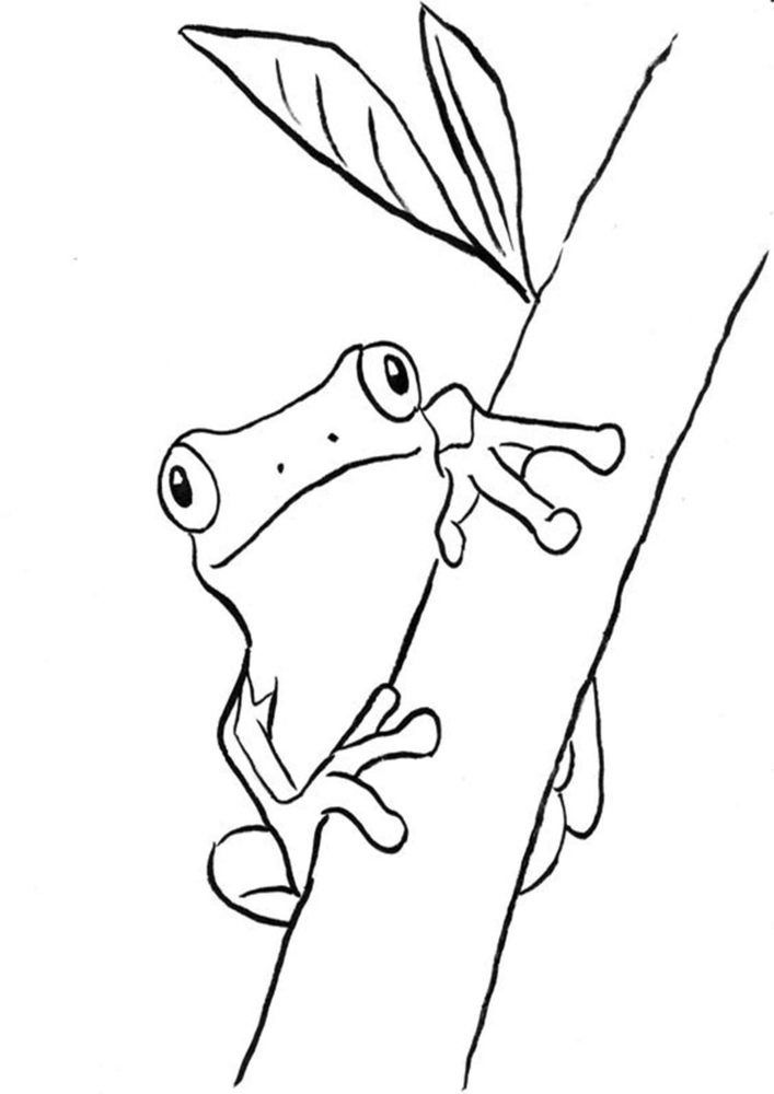 Free & Easy To Print Frog Coloring Pages - Tulamama