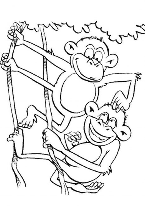 Free & Easy To Print Monkey Coloring Pages - Tulamama