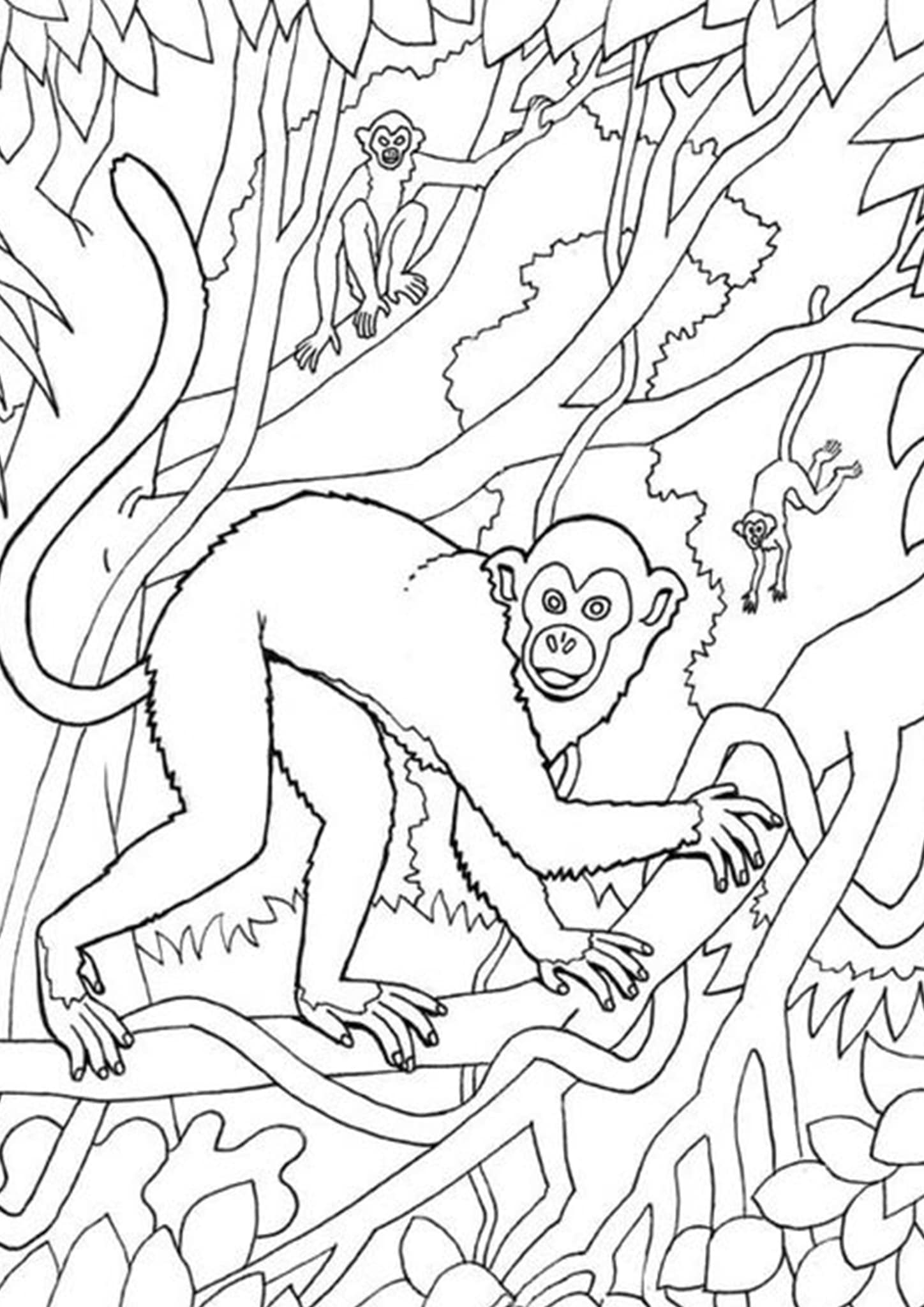 Free & Easy To Print Monkey Coloring Pages - Tulamama