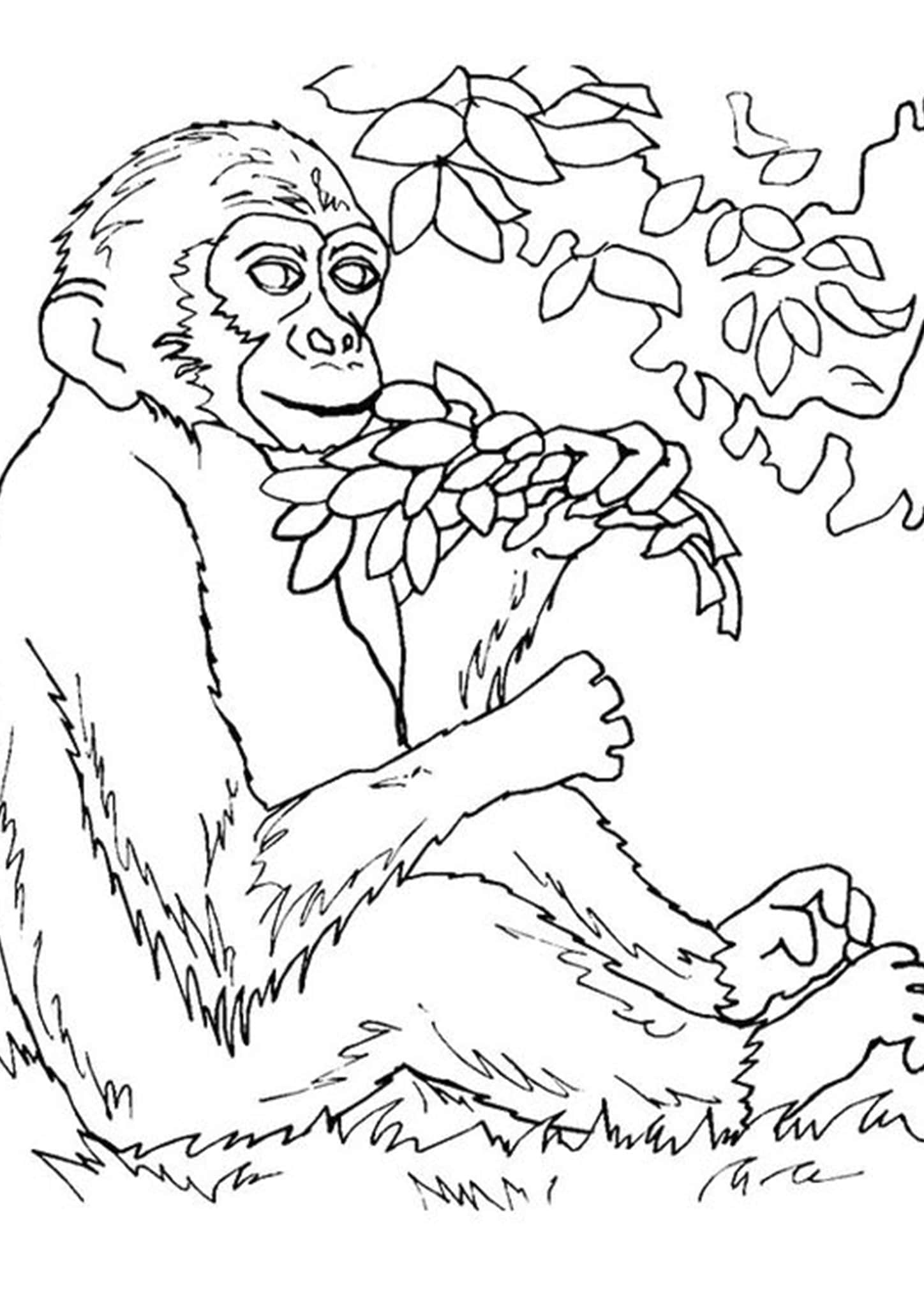 Free & Easy To Print Monkey Coloring Pages - Tulamama