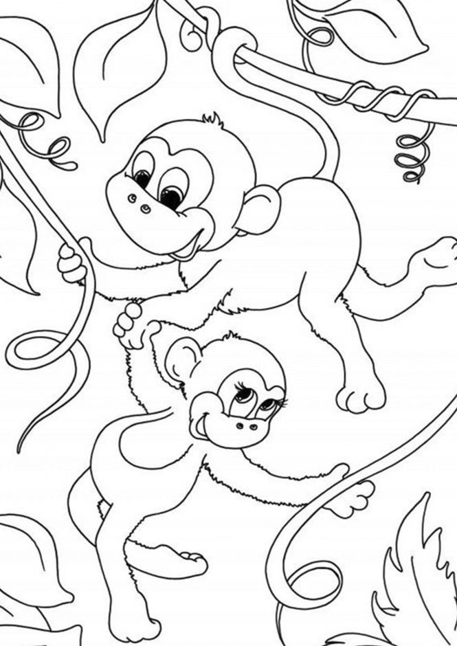 lion coloring pages realistic monkey