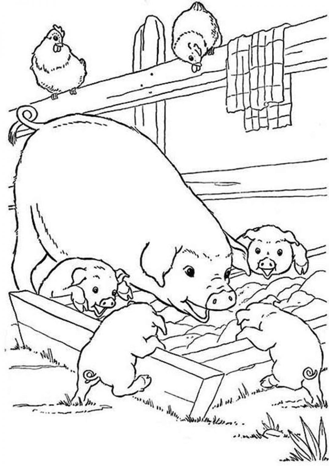 Free & Easy To Print Pig Coloring Pages - Tulamama