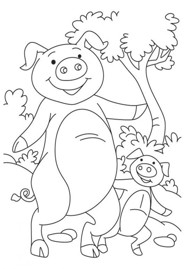 Download Free & Easy To Print Pig Coloring Pages - Tulamama