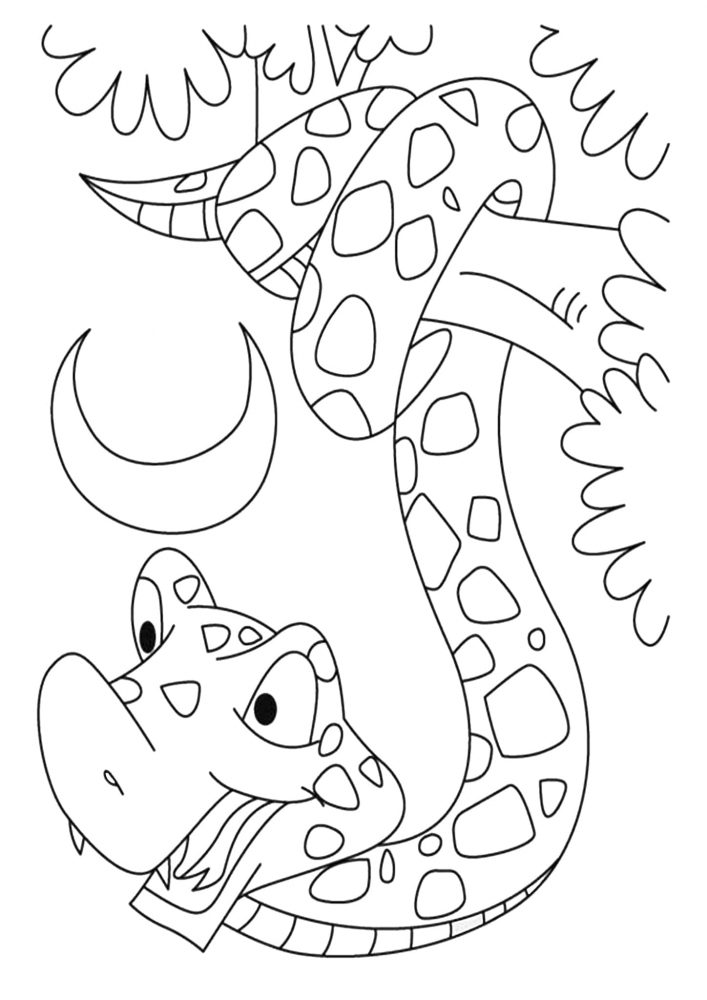 Coloring Pages for Preschoolers (Free Printable PDF) - Kokotree