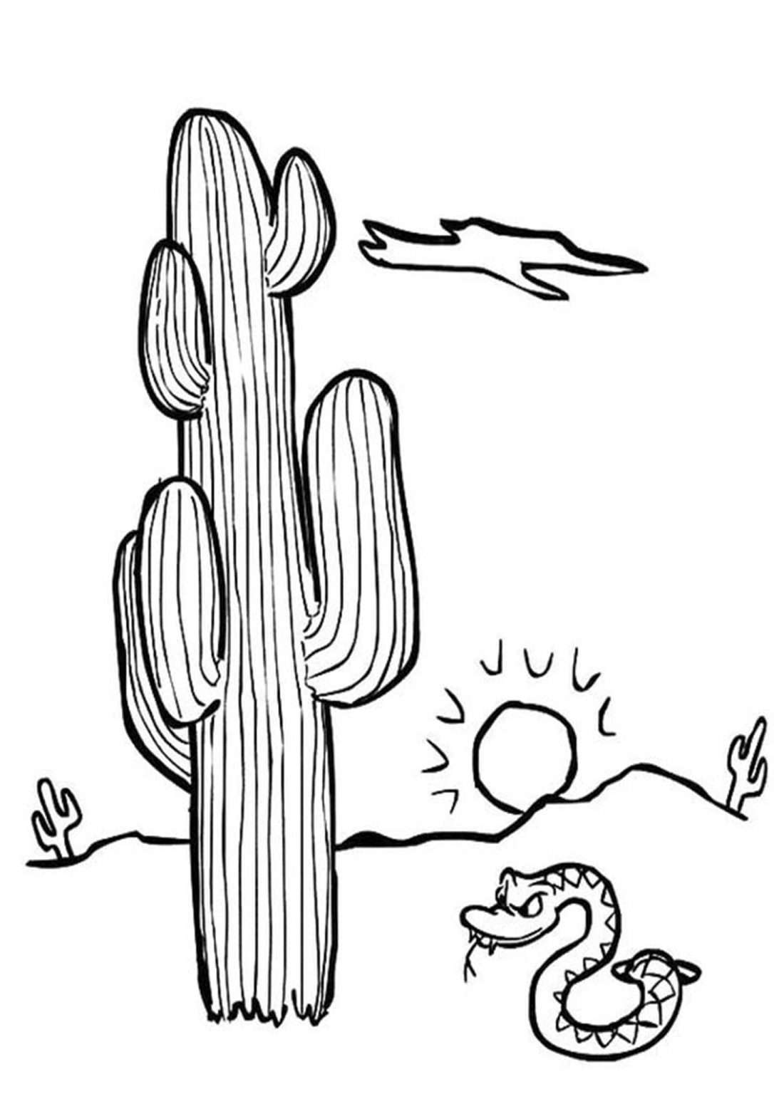 Free & Easy To Print Snake Coloring Pages - Tulamama