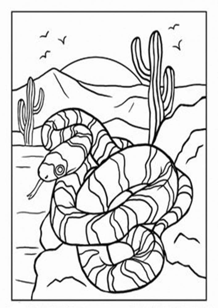 Free & Easy To Print Snake Coloring Pages - Tulamama